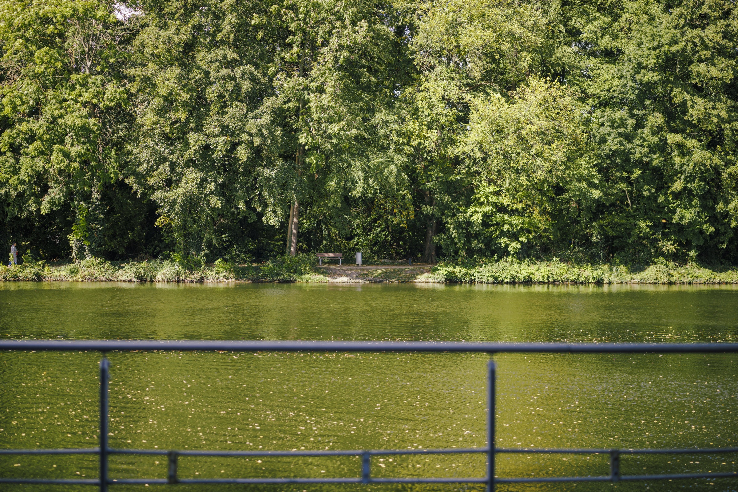 Ufer der Caputher Gemünde mit Blick über das Wasser