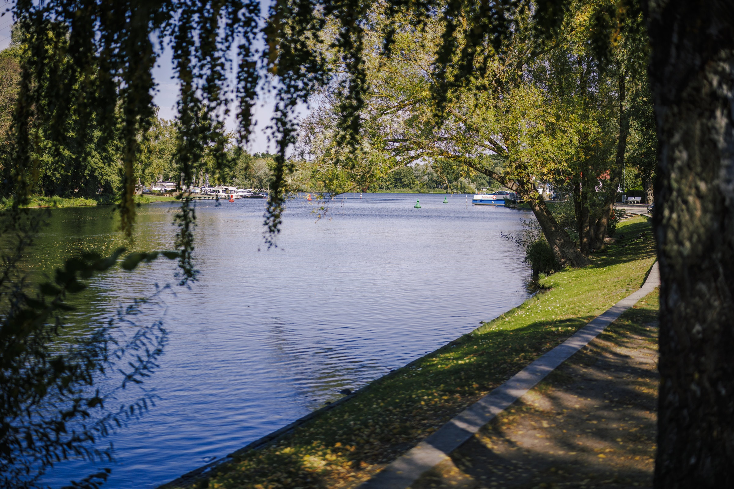 Uferweg unter Weiden